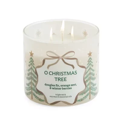 Distant Lands Winterberry 3-Wick Scented Jar Candle