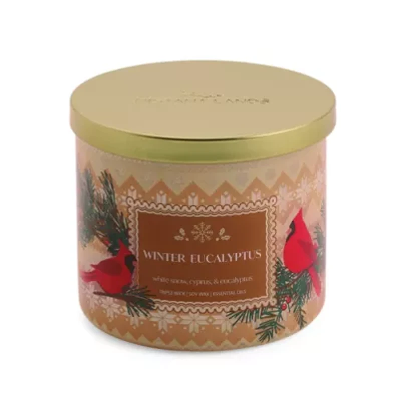 Distant Lands Winter Eucalyptus 3-Wick Scented Jar Candle