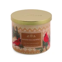 Distant Lands Winter Eucalyptus 3-Wick Scented Jar Candle
