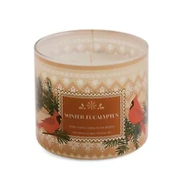 Distant Lands Winter Eucalyptus 3-Wick Scented Jar Candle