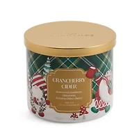 Distant Lands Crancherry Cider 3-Wick Scented Jar Candle