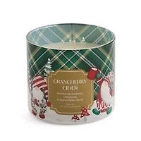 Distant Lands Crancherry Cider 3-Wick Scented Jar Candle