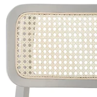 Safavieh Luz 2-pc. Dining Chair