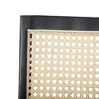 Safavieh Levy 2-pc. Dining Chair