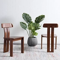 Safavieh Cayde 2-pc. Dining Chair