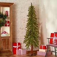 National Tree Co. Hickory Cedar 5 Foot Cedar Christmas Tree