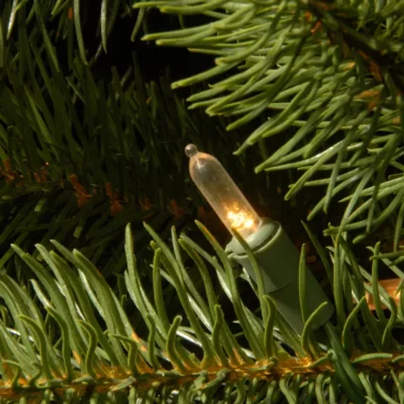 National Tree Co. Downswept Douglas Fir Hinged 1/2 Foot Pre-Lit Fir Christmas Tree