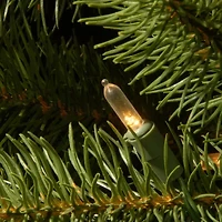 National Tree Co. Downswept Douglas Fir Hinged 1/2 Foot Pre-Lit Fir Christmas Tree