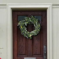 Safavieh Eucalyptus Leaf & Fennel Wreath