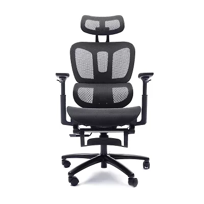 Sealy® Hxley Ergonomic Design Adjustable Height Office Chair