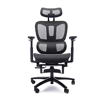 Sealy® Hxley Ergonomic Design Adjustable Height Office Chair