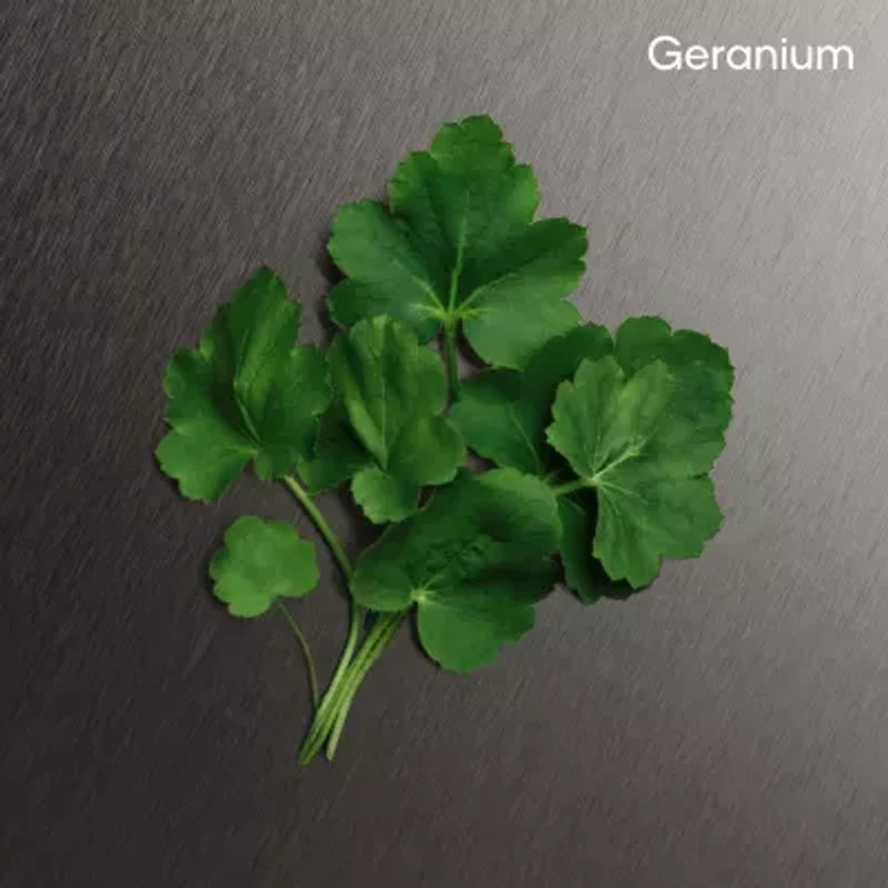 Calvin Klein Eternity For Men All Over Body Spray