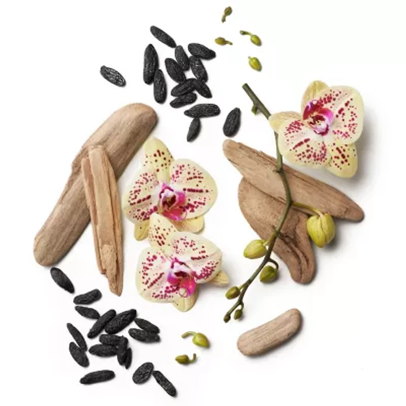 Dolly Parton Smoky Mountain