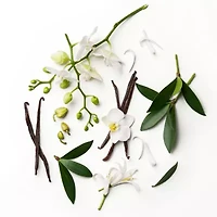 Dolly Parton Tennessee Sunset Eau De Toilette