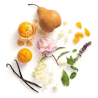 Dolly Parton Scent From Above Eau De Toilette