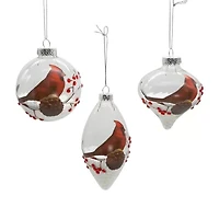 Kurt Adler 80mm Glass Transparent Cardinal Ball Onion And Teardrop Shaped 3-pc. Christmas Ornament