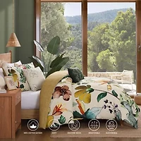 Bebejan Radiance Comforter Set