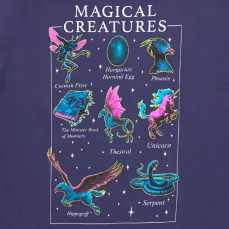 Jerry Leigh Harry Potter Magical Creatures Oversized Tee Womens Crew Neck Short Sleeve Juniors Graphic T-Shirt