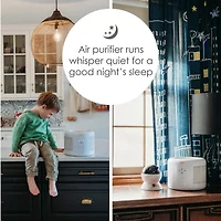 Crane HEPA Air Purifier , 300 Sq Ft. Coverage, Compact