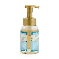 Distant Lands 8.5 oz. Holiday Clove Hand Soap