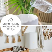 Crane 2-In-1 1.2 Gallon Ultrasonic Cool Mist Humidifier & Aroma Diffuser