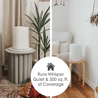 Crane 2-In-1 1.2 Gallon Ultrasonic Cool Mist Humidifier & Aroma Diffuser