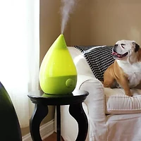 Crane Drop 1 Gallon Ultrasonic Cool Mist Humidifier - Green