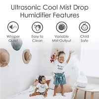 Crane Drop 1 Gallon Ultrasonic Cool Mist Humidifier - Clear/White