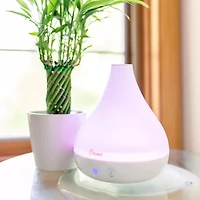 Crane 2-In-1 Personal 0.35 Gallon Ultrasonic Cool Mist Humidifier & Aroma Diffuser