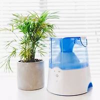 Crane 0.5 Gallon Warm Mist Humidifier
