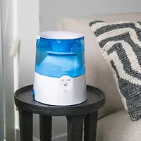 Crane 0.5 Gallon Warm Mist Humidifier