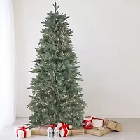 10' Pre-Lit Slim Washington Fraser Fir Artificial Christmas Tree - Clear Lights