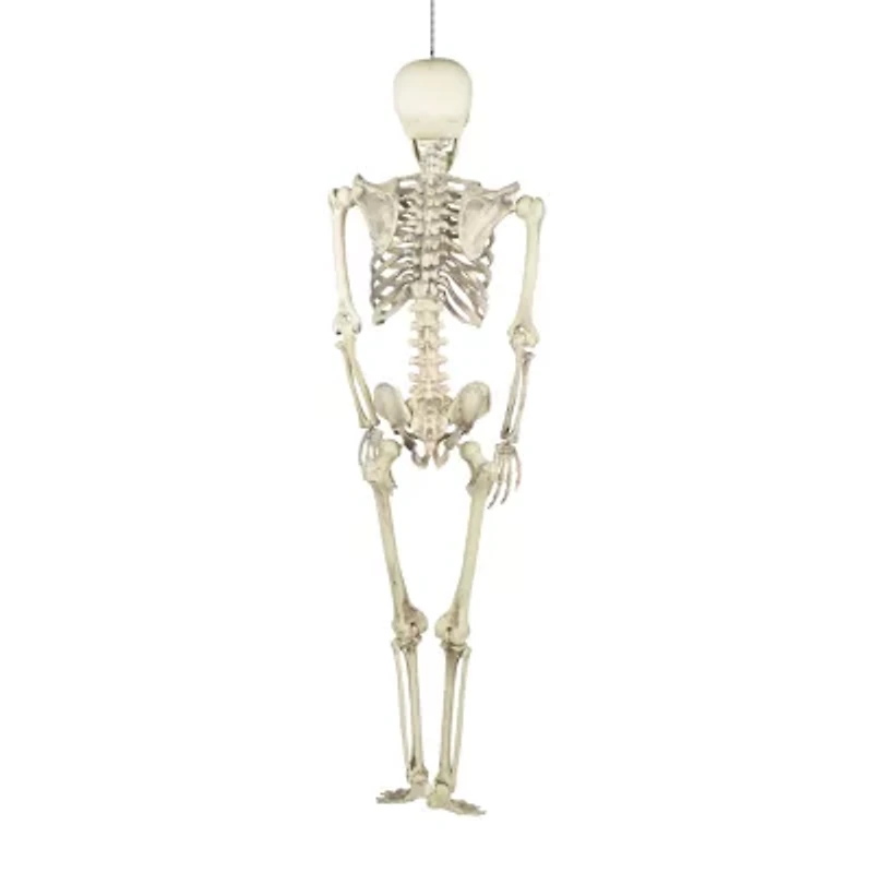 Northlight Skeleton Halloween Yard Art