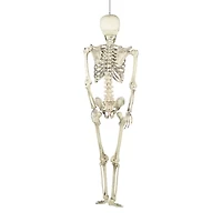 Northlight Skeleton Halloween Yard Art