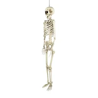 Northlight Skeleton Halloween Yard Art