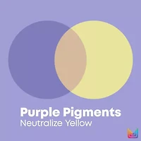 Matrix So Silver Conditioner 33.8 oz.