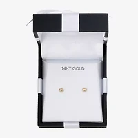 14K Gold 4mm Ball Earrings 