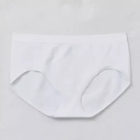 Ambrielle Womens Seamless Brief Panty 13p002