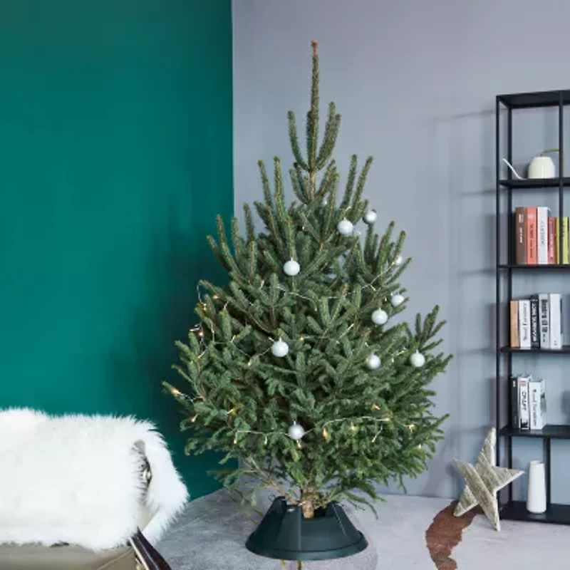 Northlight Live Tree 8ft Fit Tree Stand