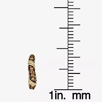 Le Vian® Earrings featuring 7/8 CT. Chocolate Diamonds® 1/6 CT. Nude Diamonds™ set in 14K Honey Gold™