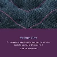 Beautyrest World Class Level Three 14.5" Medium Tight top