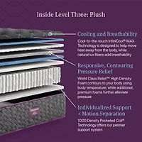 Beautyrest World Class Level Three 14.75" Plush Tight top