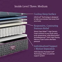 Beautyrest World Class Level Three 13" Medium Tight top