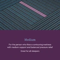 Beautyrest World Class Level Three 13" Medium Tight top - Mattress Only