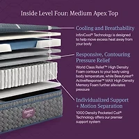 Beautyrest World Class Level Four 14" Medium Pillow top