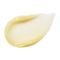 Rms Beauty Lipnights Overnight Lip Mask