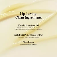 Rms Beauty Lipnights Overnight Lip Mask