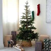 Nearly Natural Pre-Lit Artificial Idaho Mixed Fir 130 Warm White Led Lights 6 Foot Pre-Lit Fir Christmas Tree