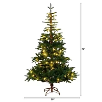 Nearly Natural Pre-Lit Artificial Idaho Mixed Fir 130 Warm White Led Lights 6 Foot Pre-Lit Fir Christmas Tree