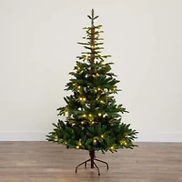 Nearly Natural Pre-Lit Artificial Idaho Mixed Fir 130 Warm White Led Lights 6 Foot Pre-Lit Fir Christmas Tree